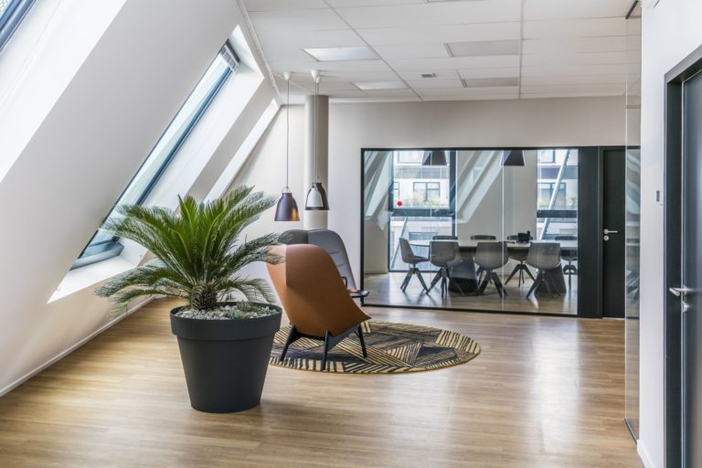 Espace de détente avec fauteuils et plante verte dans des bureaux modernes, conçu par JoyDesign Intérieur.